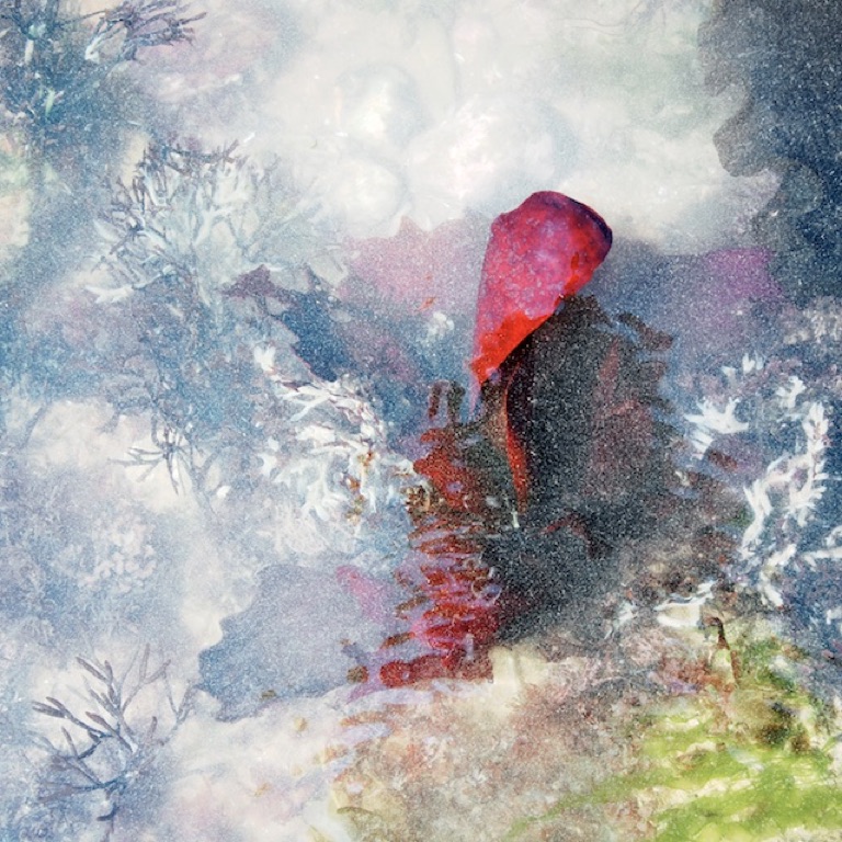 Lisa Woollett - Author Photographer