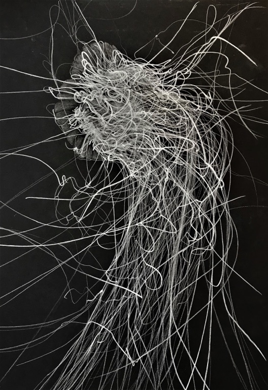 Tracy Watts - Pencil Artist